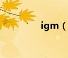 igm（說(shuō)一說(shuō)igm的簡(jiǎn)介）