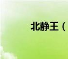 北靜王（說一說北靜王的簡介）