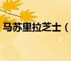 馬蘇里拉芝士（說(shuō)一說(shuō)馬蘇里拉芝士的簡(jiǎn)介）