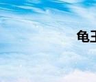 龜王電動(dòng)車（龜王）