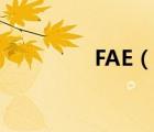 FAE（說一說FAE的簡介）