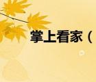 掌上看家（說(shuō)一說(shuō)掌上看家的簡(jiǎn)介）