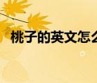 桃子的英文怎么讀的（桃子的英文怎么讀）