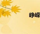 崢嶸風(fēng)云（天下崢嶸）