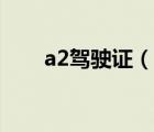 a2駕駛證（說一說a2駕駛證的簡介）