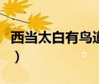 西當(dāng)太白有鳥(niǎo)道指的是哪里（西當(dāng)太白有鳥(niǎo)道）