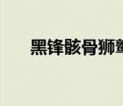 黑鋒骸骨獅鷲在哪買（黑鋒骸骨獅鷲）
