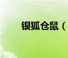 銀狐倉鼠（說一說銀狐倉鼠的簡介）