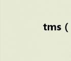 tms（說一說tms的簡介）