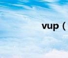 vup（說一說vup的簡介）