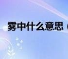 霧中什么意思（霧中點點寒意到打一節(jié)氣）