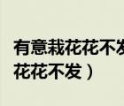 有意栽花花不發(fā)無心插柳柳成蔭翻譯（有意栽花花不發(fā)）