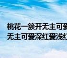 桃花一簇開無主可愛深紅愛淺紅的意思的意思（桃花一簇開無主可愛深紅愛淺紅的意思）