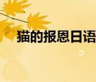 貓的報(bào)恩日語版下載（貓的報(bào)恩日語版）