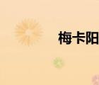 梅卡陽瑪性格（梅卡陽瑪）