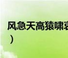 風急天高猿嘯哀是什么意思（風急天高猿嘯哀）