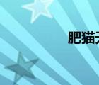 肥貓?zhí)焓?（肥貓?zhí)焓梗?/>
                                    </a>
                                                </div>
                                    <div   id=
