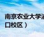南京農(nóng)業(yè)大學(xué)浦口校區(qū)郵編（南京農(nóng)業(yè)大學(xué)浦口校區(qū)）