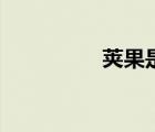 莢果是什么意思（莢果）