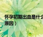懷孕初期出血是什么原因造成的（懷孕初期有少量出血什么原因）