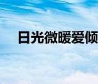 日光微暖愛(ài)傾城微盤(pán)（日光微暖愛(ài)傾城）