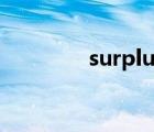 surplus反義詞（surplus）