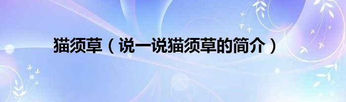 貓須草（說(shuō)一說(shuō)貓須草的簡(jiǎn)介）