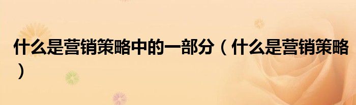 什么是營銷策略中的一部分（什么是營銷策略）