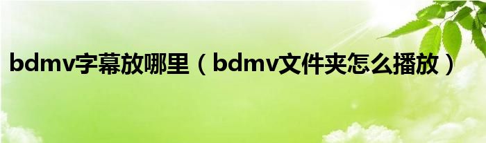 bdmv字幕放哪里（bdmv文件夾怎么播放）