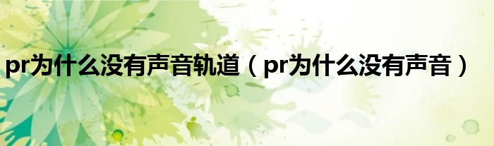 pr為什么沒(méi)有聲音軌道（pr為什么沒(méi)有聲音）