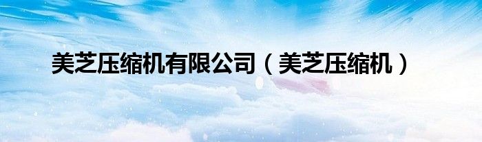 美芝壓縮機有限公司（美芝壓縮機）