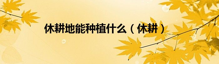 休耕地能種植什么（休耕）