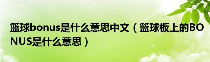 籃球bonus是什么意思中文（籃球板上的BONUS是什么意思）