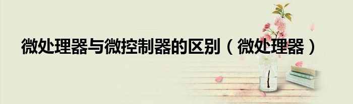 微處理器與微控制器的區(qū)別（微處理器）
