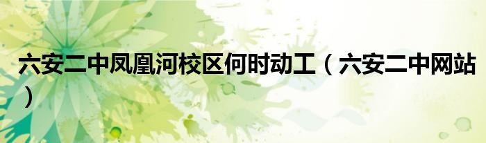 六安二中鳳凰河校區(qū)何時(shí)動工（六安二中網(wǎng)站）