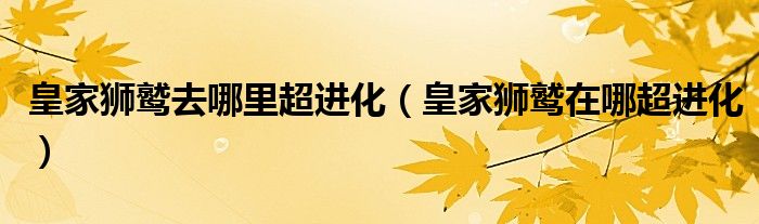 皇家獅鷲去哪里超進(jìn)化（皇家獅鷲在哪超進(jìn)化）