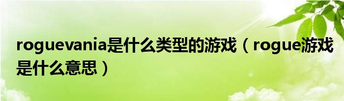 roguevania是什么類型的游戲（rogue游戲是什么意思）