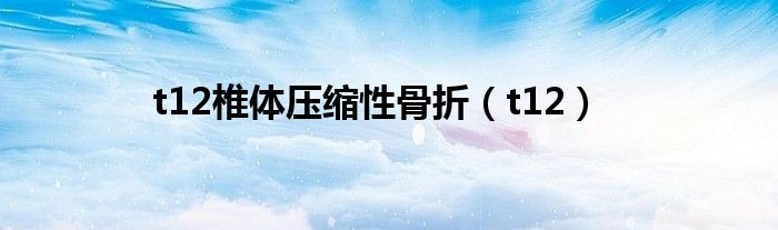 t12椎體壓縮性骨折（t12）