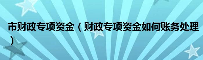 市財(cái)政專項(xiàng)資金（財(cái)政專項(xiàng)資金如何賬務(wù)處理）