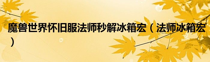 魔獸世界懷舊服法師秒解冰箱宏（法師冰箱宏）