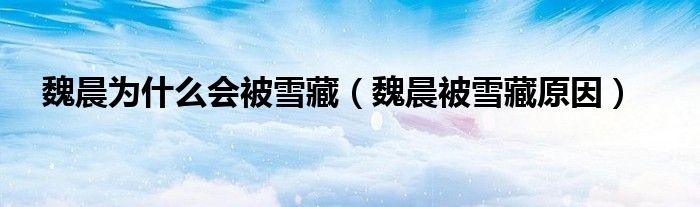 魏晨為什么會被雪藏（魏晨被雪藏原因）