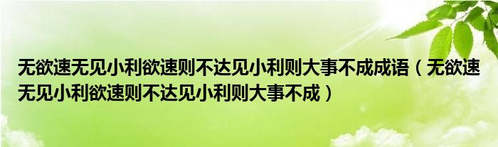 無(wú)欲速無(wú)見(jiàn)小利欲速則不達(dá)見(jiàn)小利則大事不成成語(yǔ)（無(wú)欲速無(wú)見(jiàn)小利欲速則不達(dá)見(jiàn)小利則大事不成）