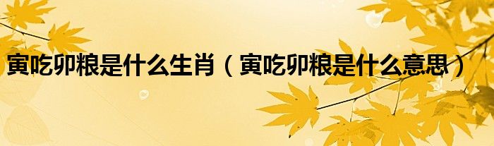 寅吃卯糧是什么生肖（寅吃卯糧是什么意思）