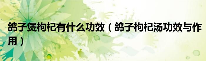鴿子煲枸杞有什么功效（鴿子枸杞湯功效與作用）