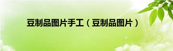 豆制品圖片手工（豆制品圖片）