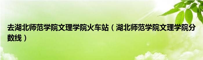 去湖北師范學(xué)院文理學(xué)院火車站（湖北師范學(xué)院文理學(xué)院分?jǐn)?shù)線）