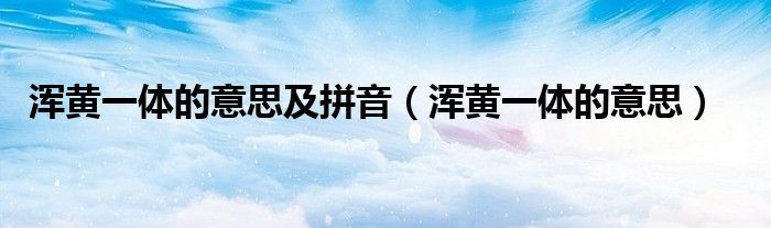 渾黃一體的意思及拼音（渾黃一體的意思）