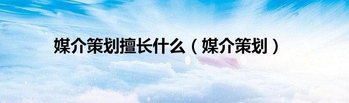 媒介策劃擅長(zhǎng)什么（媒介策劃）