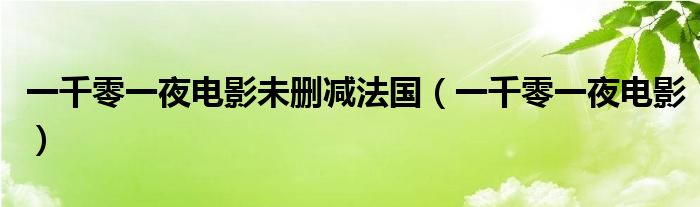 一千零一夜電影未刪減法國（一千零一夜電影）