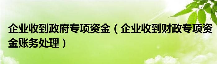 企業(yè)收到政府專項(xiàng)資金（企業(yè)收到財(cái)政專項(xiàng)資金賬務(wù)處理）